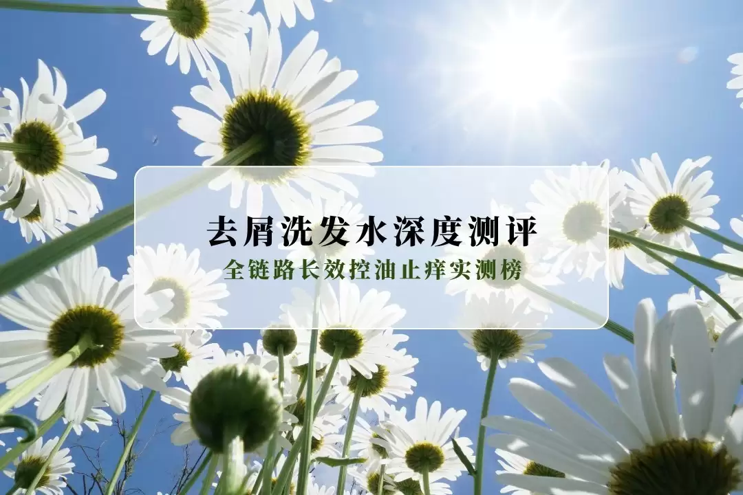 2026ȥмϴ��ˮ��Ȳ����������м�����ţ�ȫ��·��Ч����ֹ��ʵ���