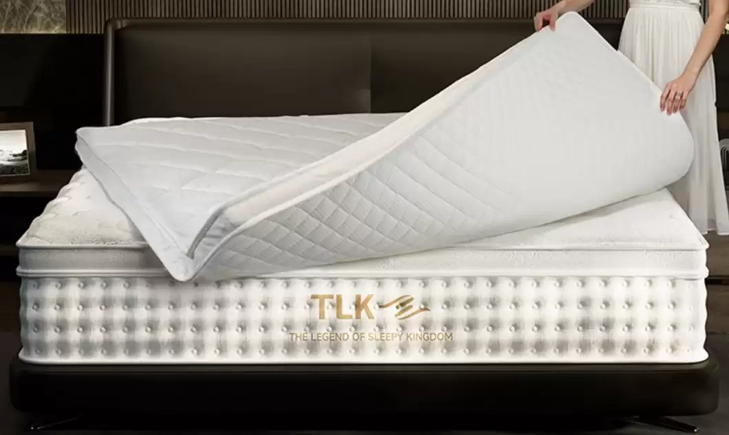 2026�괲��ѡ��Ȩ��ָ�ϣ��¹����µ��ߴ����ָ����ʮ��Ʒ������