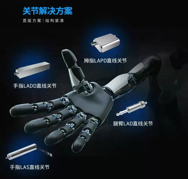 �����Ƽ��Ƴ����λ����˽������������ CES 2026