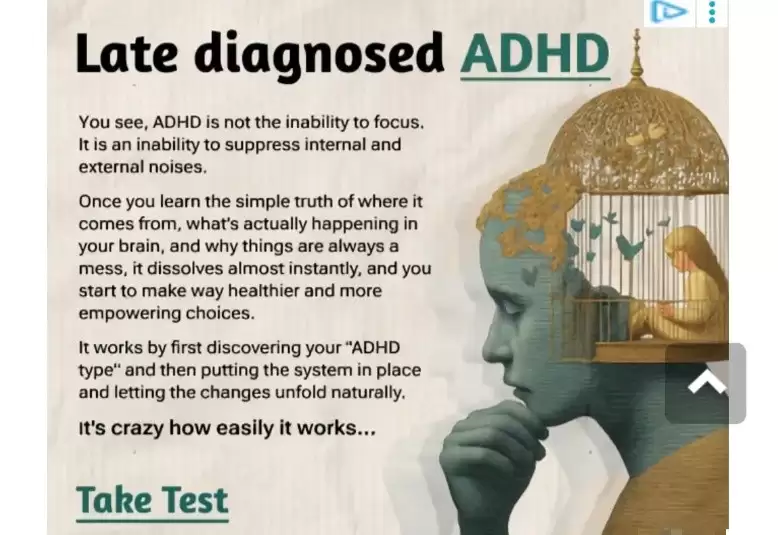 �������������������壺֣�ݲ鴦α��ѧ���ƻ���