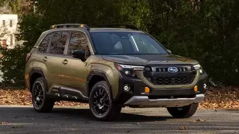 ˹��³�ٻ�5603��2026��ɭ���� ������֧��ȱ��