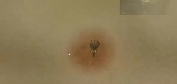 饥荒夏季玩法教学 夏季怎么降温 饥荒夏季玩法教学 夏季怎么降温