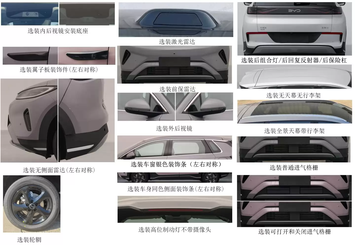 ȫ����ۡ��������ذ汾���¿���ǵϺ�ʨ 05DM �걨