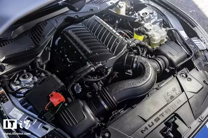 ���� 300 ̨��2026 ��� Mustang Shelby Super Snake ����