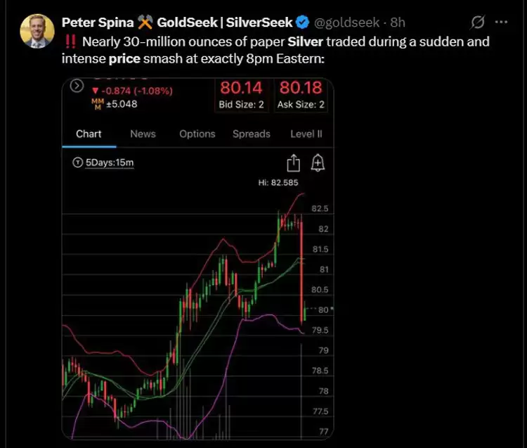 ��������ر�����������ص�������2026��չ��