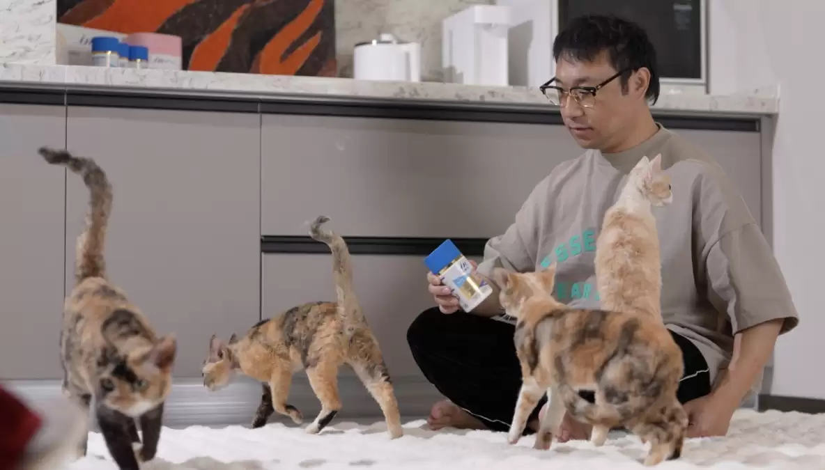 �����IDP����������Ʒ���У�ר�������������Ӫ��������