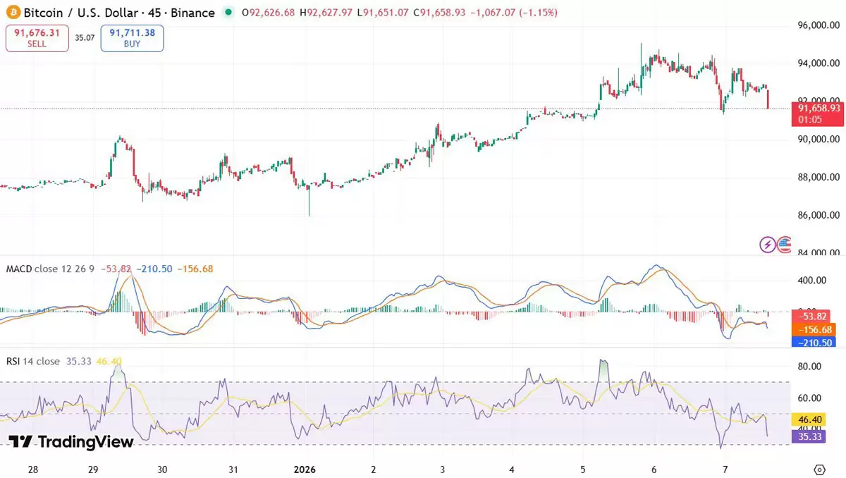 ��������ر�����������ص�������2026��չ��