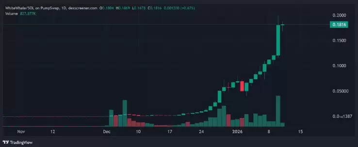 WHITEWHALE�۸�Ԥ�⣺2026���������������ԭ�����