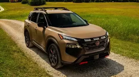 �ղ������ٻ�4655��2026��Rogue��̥��񲻷�