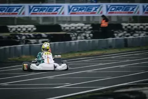 ���������ֽ���ȫ���ԣ������𲽵������ɳ۵�����ָ��