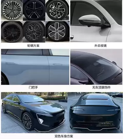 ��ά��12�³����걨�ع� ����������Խ���ռ�����