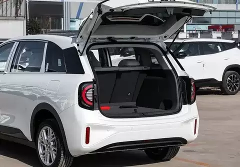 2026�������S���У�����������������