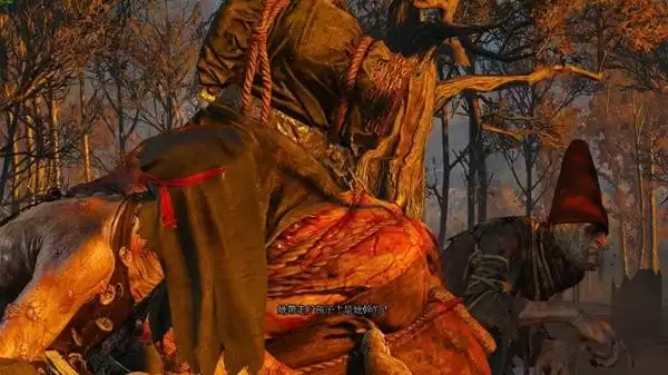 ��ʦ3���з���ϵ�������ֲ��� ���з��������м������