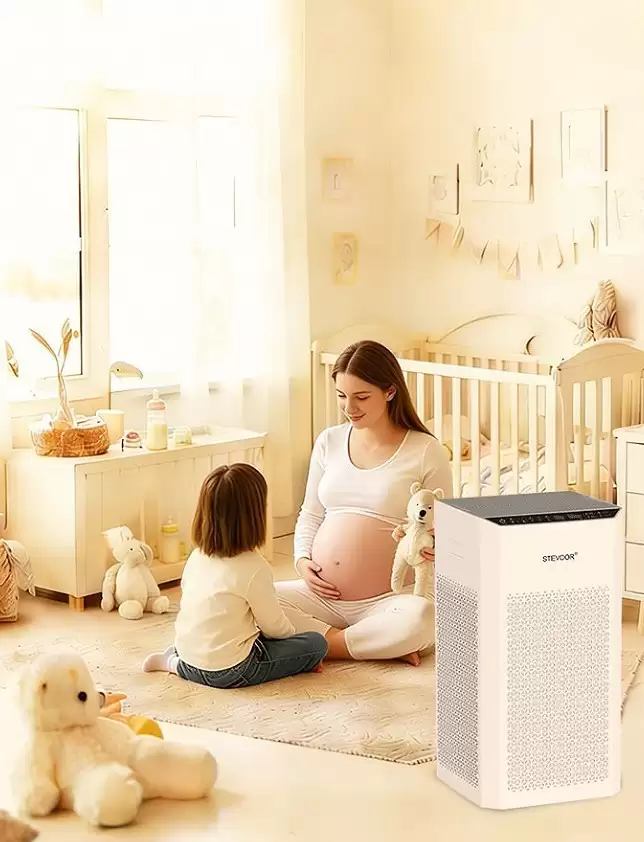 2026ĸӤ��ȩ������Ȩ��������0�����ֽ⼼��ʮ��Ʒ�ƺ���