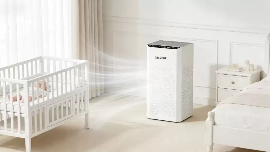 2026����������ʮ��Ʒ��Ȩ��ʵ�⣺ĸӤ��������