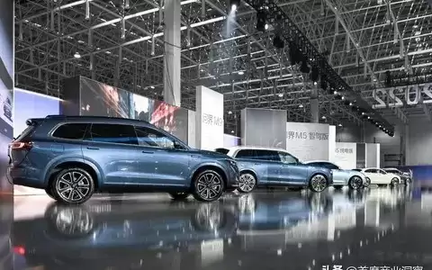 ����˹��Ϯ�������������ѧ�ѵ���������