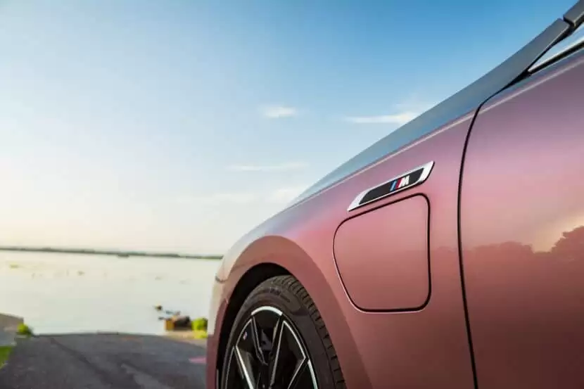 ���糵��ռ���ķ�֮һ���������� 2025 ��ŷ�޵綯����������