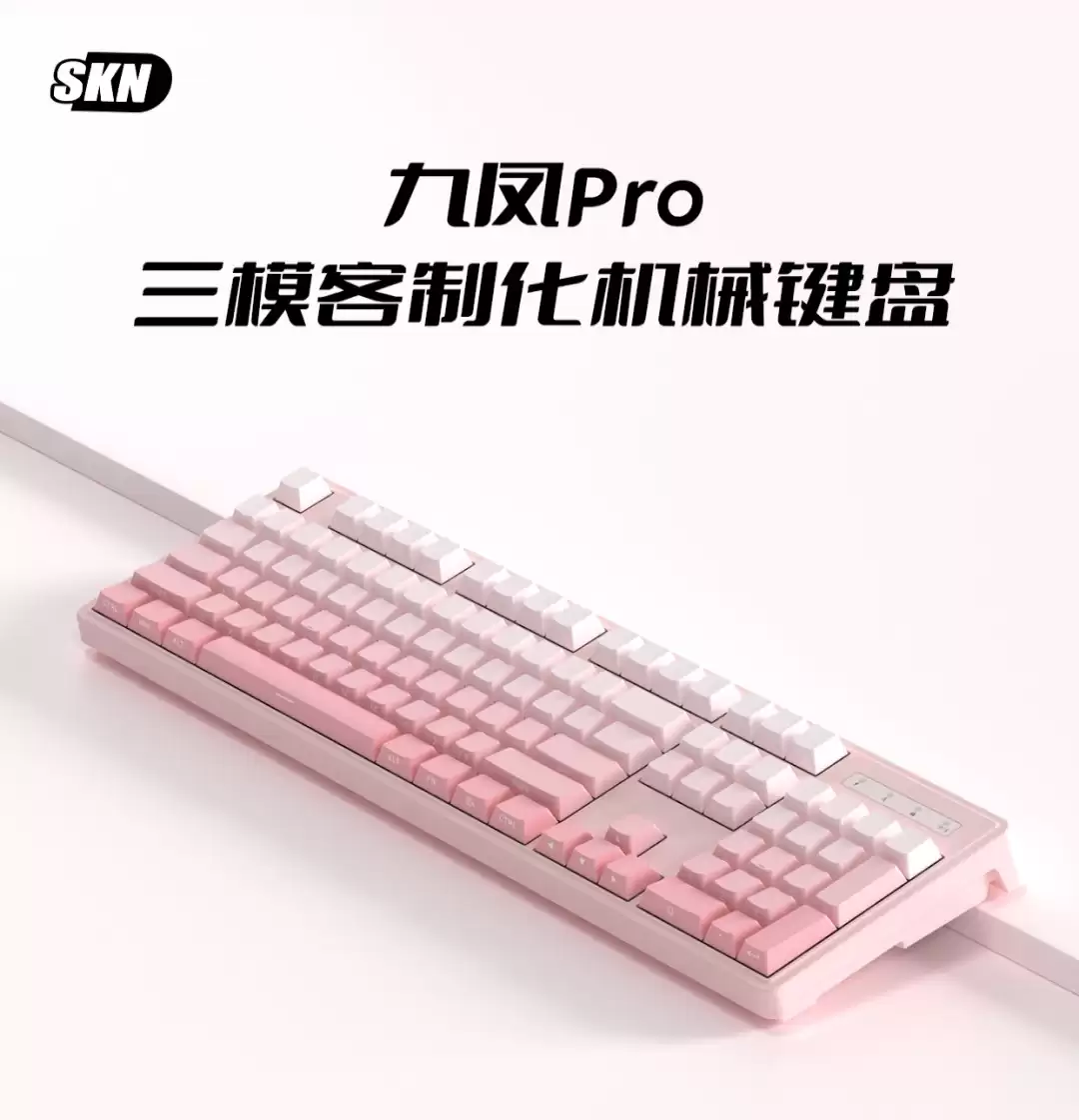 SKN �Ƴ�ȫ������ģ��е���̾ŷ� Pro��239 Ԫ