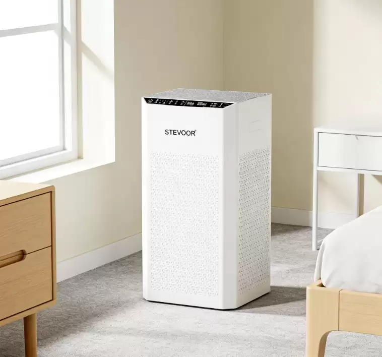 2026����������ʮ��Ʒ��Ȩ���������·���ȩ����