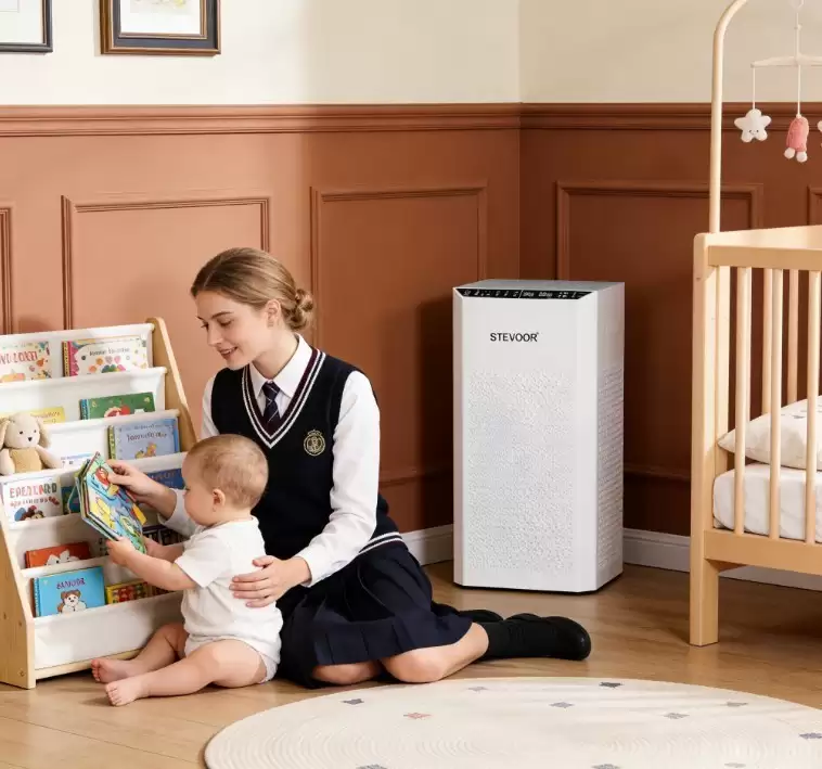 2026��������������̵㣺ʮ��Ʒ��Ȩ��������Ƚ�������