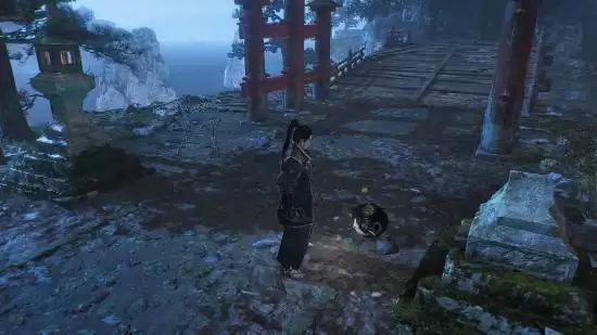 ����32026�����ߣ�ȫ��ʵ����ʾ�����Ʋ�׷�����ػ���ϵͳ