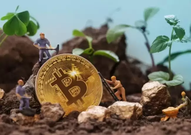 ������ڿ�����𣿳ɱ����������ȫ����