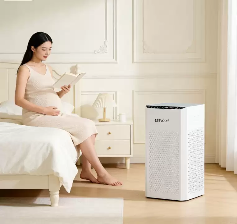 2026����������ʮ��Ʒ�ƺ�����װ���и���ס�ֽ⼼��Ȩ��ʵ��