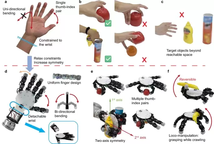 ��ʿ�Ŷ��з�˫��ץ��+�����������ͻ�е��