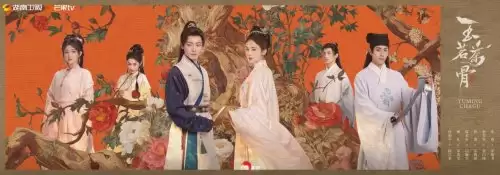 ��������ǡ������Ļ�IP�ĵ����ں�