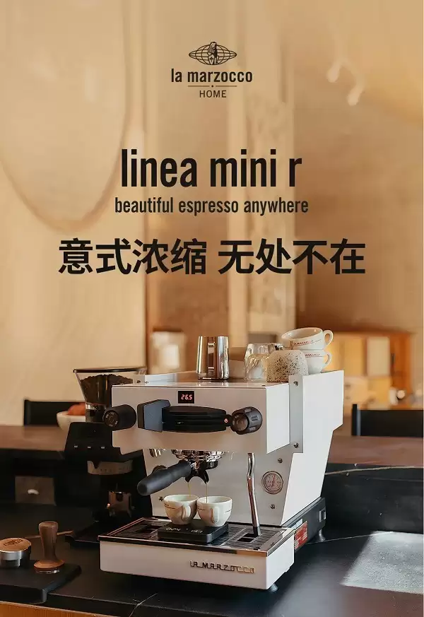 2026�����̵㣺���Զ����Ȼ�TOP10��񣬸�����/����/��ʤͼ������