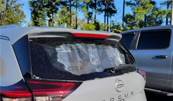 �ղ�Rogue���Ա�����������