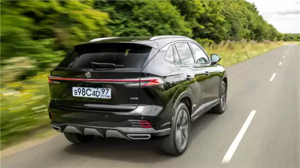 2025���������������� �й�Ʒ���г��ݶ��»�