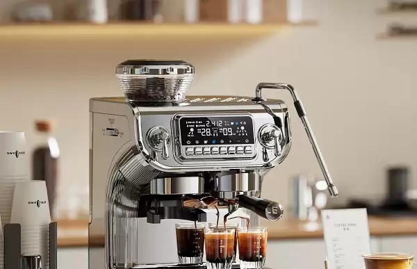 2026�����̵㣺���Զ����Ȼ�TOP10��񣬸�����/����/��ʤͼ������