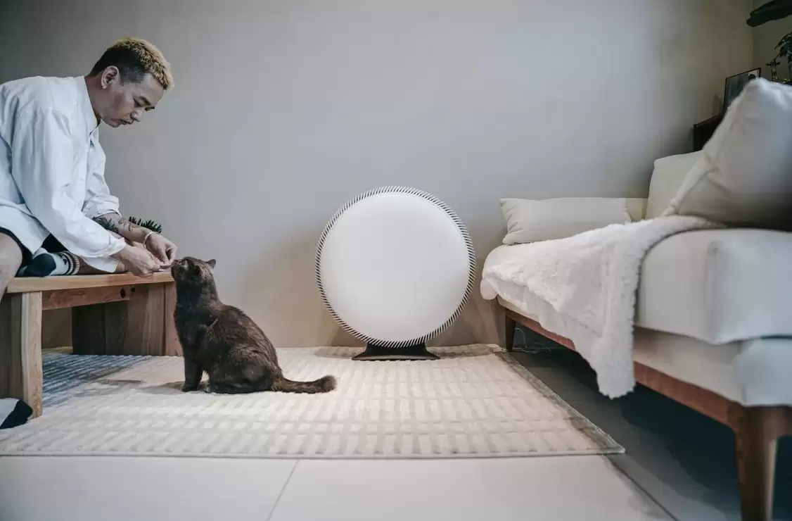 2026 װ�޿���������ʵ��Ʒ���Ƽ����������� ���� �¹�����غ��ѡ��ָ��