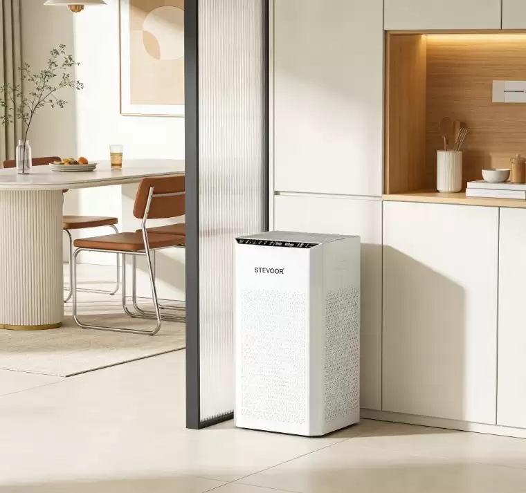 2026����������ʮ��Ʒ�ƺ�����15�O���ҳ�ȩ����ʵ��