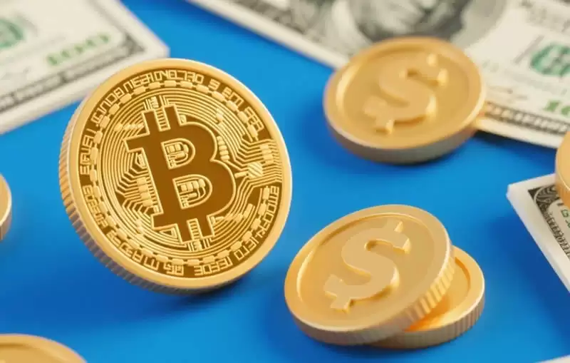 ���ر��ֻ���������ô���������������ѯƽָ̨��