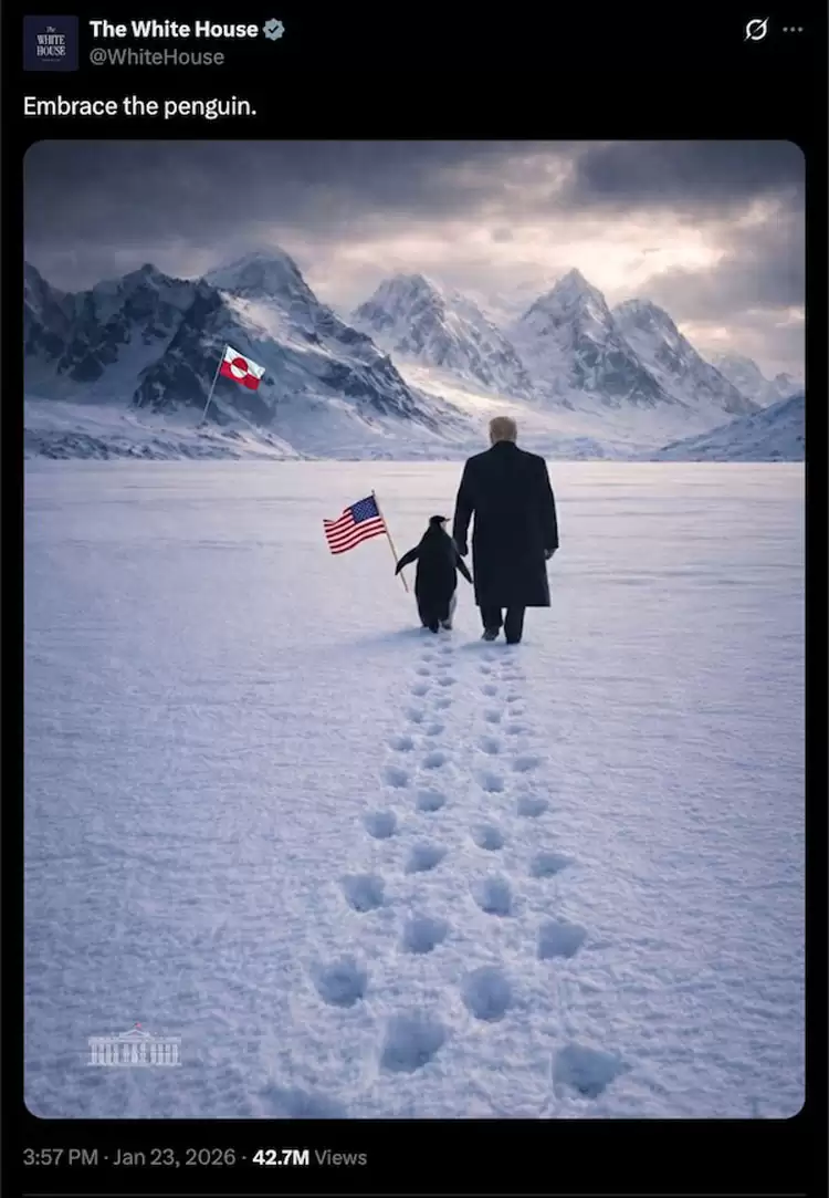 �׹�X������PENGUIN���ң�24Сʱ�ڱ���564%