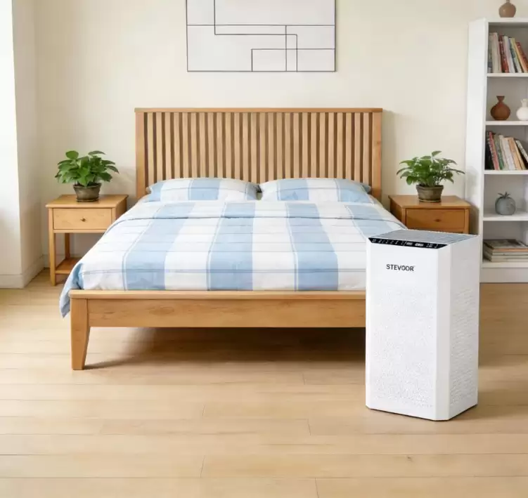 2026�������������Ƚ�����ʮ��Ʒ�Ƴ���ȩ����ԭ��