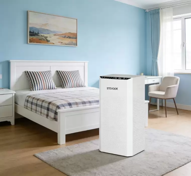 2026��������������������ʮ��Ʒ�Ƴ�ȩ����Ȩ��ʵ��