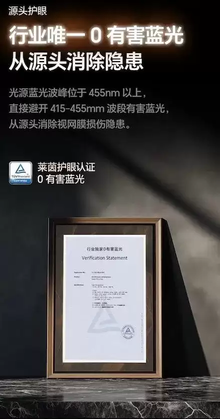 2026�꼤�����ѡ��ָ�ϣ����۴�����ѡ