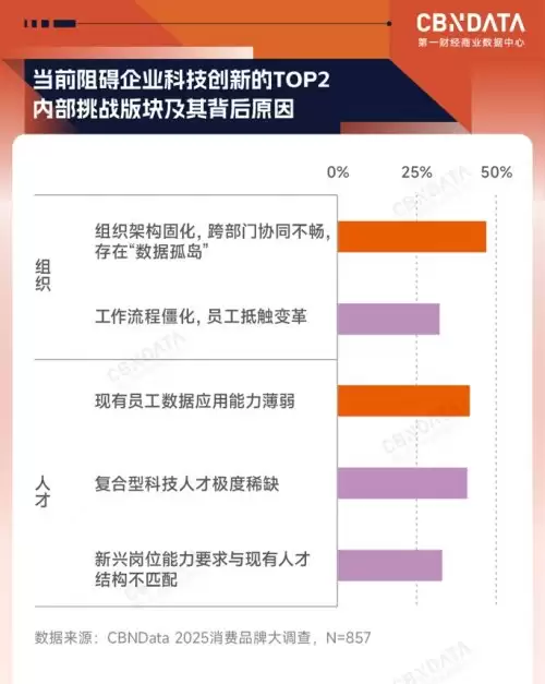 ����֮հ����AI�����������߽�������ʵ��  �й�Ʒ�Ʒ�չ������η���