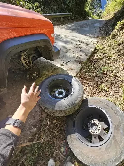 ԽҰ��̥Ӧ������ȫָ�ϣ���ѧ��������ȫ