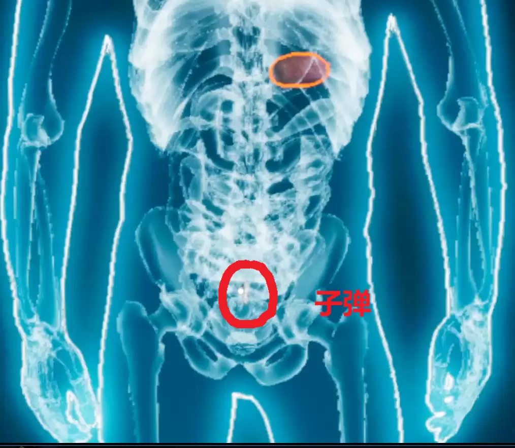 �������������һվ��Ƥ��֮��ɾ͹��Է���