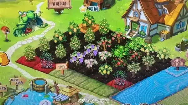 ��Ѷ����QQũ�����Σ�����IP�ع黽���û��黳���罻ճ��