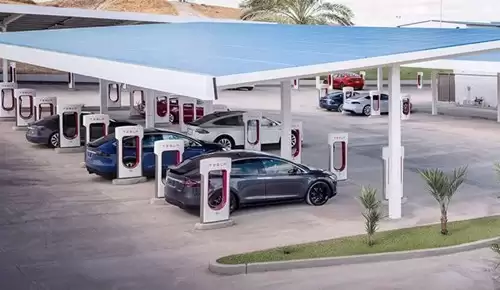 ������綯��˰�յ�����ֹ��������ն��������ע�����������µ�