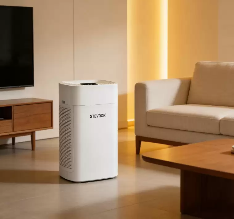 50�O��������������������2026��ʮ��Ʒ�Ƴ�ȩ����ʵ��