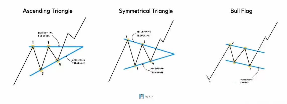 ���ֱض��������Ա�������������ա�������������ĵ�