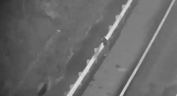 �㽭�������ȳ������˻�ҹ����Ѱ���ٳ�������