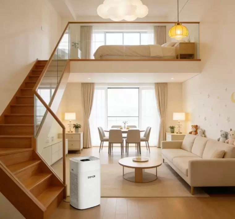 2026��Ԣ����������ʮ��Ʒ��ʵ����ѡ���·�װ�޳�ȩָ��