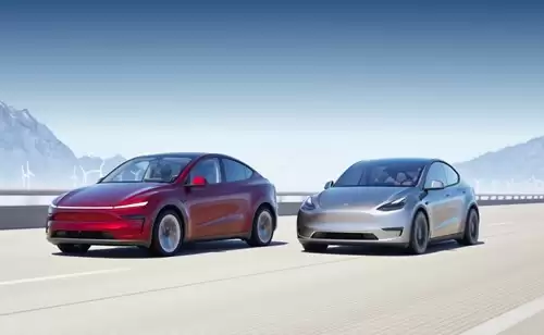 ��˹��2025��Ӫ��������˫��������ҵ�����������»�